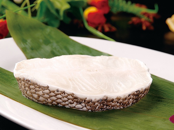 銀鱈魚(yú)